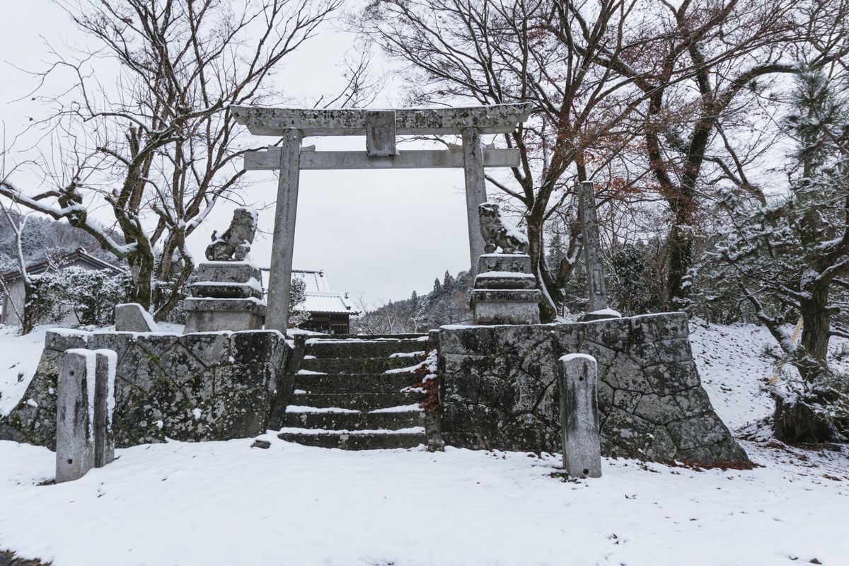 八幡神社の狛犬と獅子